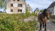 Verbotene Stadt an der Ostsee: DDR-Sperrgebiet Wustrow zerfällt