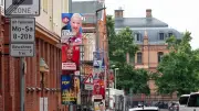 Wahlplakate in MV: Erste hängen, erste Vandalismusfälle