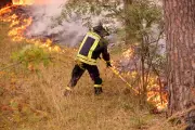 Waldbrand bei Grabow: Polizei prüft mögliche Brandstiftung