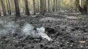 Waldbrand im Müritz-Nationalpark: Glutnester in Senke überwacht
