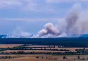Waldbrand im Müritz-Nationalpark: Kosten noch unklar