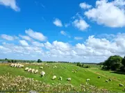 Wetter im Norden: Am Wochenende wird es heiß - bis zu 33 Grad
