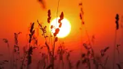 Wetter im Norden: Bis 33 Grad, abends Schauer und Gewitter