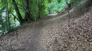 Zoff um Waldweg: Anwohner fühlen sich von der Stadt übergangen