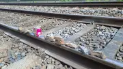 Zug überfährt Schottersteine auf Gleis in Ferdinandshof