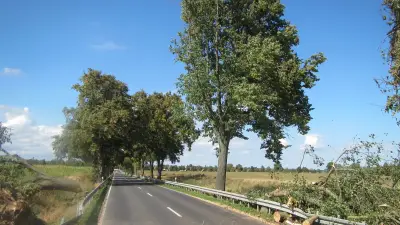 B192 nach Sturmschäden wieder frei – Restarbeiten ab Montag