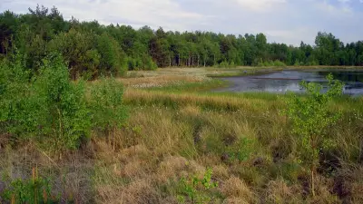 Grambower Moor: Vom Torfabbau zur Renaturierung
