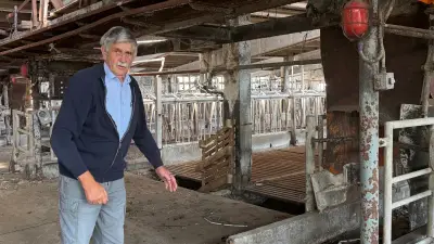 Hühnermast mit 200.000 Tieren: Landwirt startet in Zepkow neu durch