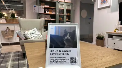 IKEA Rostock: Tierheim-Tiere per QR-Code in der Ausstellung