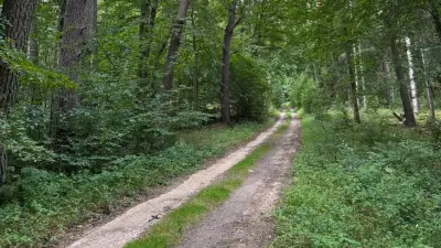 Kaarzer Holz: Wege auf DBU-Naturerbefläche werden saniert