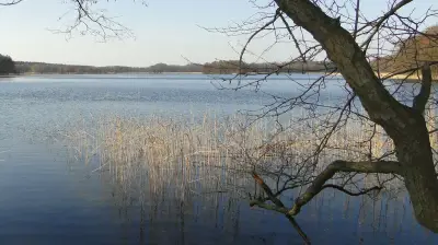 Mühle, Kirche, Krug: Das verschwundene Dorf Nepersmühlen am Kleinpritzer See