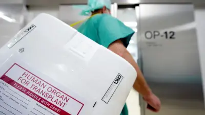 Organspende in MV: Ablauf, Hürden und die Rolle der DSO