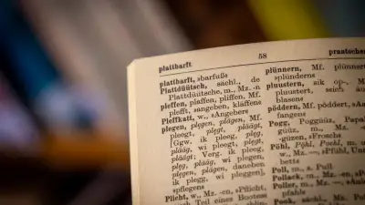 Plattdeutsch-Nachmittag in Demmin: Sprache neu entdecken