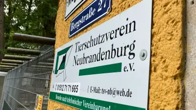 Tierschutzverein Neubrandenburg: Kadow bleibt Vorsitzender nach Machtkampf