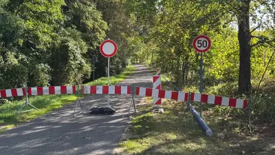 Tollensesee: Straße bei Penzlin wegen umsturzgefährdeter Bäume gesperrt