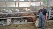 Ausbildungsbetrieb des Jahres: Landwirtschaftsbetrieb Jochen Mewes ausgezeichnet