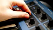 Bass und Bäume: Elektronisches Open Air verabschiedet den Sommer