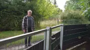 Feuer in Gartenanlage: Eigentümer fürchtet um sein Grundstück
