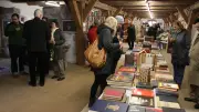 Kiloweise Bücher: Antiquariat Neustrelitz lädt zur Sonderaktion