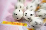 Lottospieler aus MV gewinnt 50 Millionen Euro im Jackpot