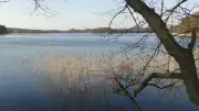 Mühle, Kirche, Krug: Das verschwundene Dorf Nepersmühlen am Kleinpritzer See