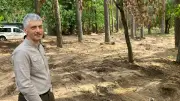 Munitionsräumung bei Neubrück: Wald gleicht einer Mondlandschaft