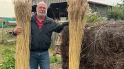 Reetdachdeckerei in Evchensruh: Tradition trifft Zukunft