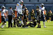 Rostock Griffins verpassen Aufstieg in die GFL knapp