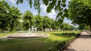 Rostock: Neue Technik soll mehr Baumpflanzungen ermöglichen