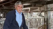 Stall-Ruine in Zepkow: Aus Rinderstall wird Hühnerfarm mit 200.000 Tieren