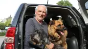 Tierheim Altentreptow: Reporter testet Hund auf Probe – Arthur sucht ein Zuhause