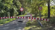 Tollensesee: Straße bei Penzlin wegen umsturzgefährdeter Bäume gesperrt