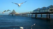 Usedom-Boykott: Urlauber meidet Insel nach AfD-Wahlergebnis