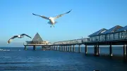 Usedom-Urlauber meidet Regionen mit starkem AfD-Wähleranteil