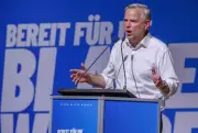 Was könnte die AfD in MV wirklich ändern?