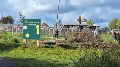 Baumgarten: 15.000 Euro Preisgeld für Obstbaumwiese