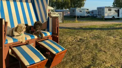 Camping mit Hund in MV: Vier Plätze in Top 25, aber Wasserzugang ist Mangelware