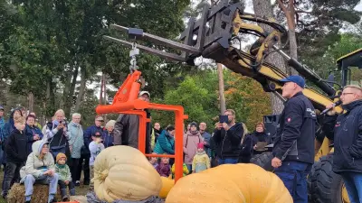 Kürbisfest in Alt Schwerin: 246-Kilo-Kürbis gewinnt Wettbewerb