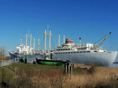 Neue Ausstellung über Wale im Rostocker Schifffahrtsmuseum