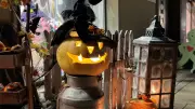 Halloween-Shopping in Neubrandenburg: Grusel und Aktionen am 24. Oktober