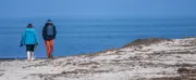 Herbstsaison in MV gut gebucht: Natur und Kultur locken Urlauber