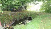 Klimapark Neukalen: Bau des zweiten Abschnitts startet am 15. Oktober