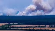 Kreistag fordert zügige Räumung von Kriegsmunition im Müritz-Nationalpark