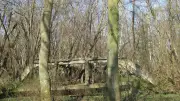 Lost Place an der Ostsee: Ruinen des Luftzeugamtes See in Pötenitz