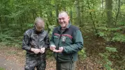 Mastjahr der Buchen: Überangebot an Bucheckern im Glienholz