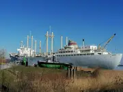Neue Ausstellung über Wale im Rostocker Schifffahrtsmuseum