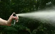 Pfefferspray in Bus versprüht: Zehn Leichtverletzte bei Neubrandenburg