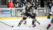 Rostock Piranhas: Zwei Niederlagen trotz Aufholjagd in Tilburg und gegen Halle