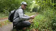 Wenig Pilze im Wald: Trockenheit hilft manchen Arten